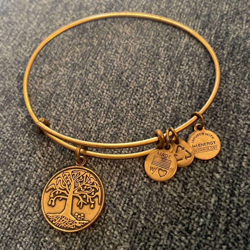 Alex & Ani bracelet Tree of Life